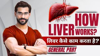 How Liver Works लिवर कैसे काम करता है [upl. by Marb]