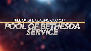 Tree of Life Healing Church  Pool Of Bethesda Live Service 10 November 2024 [upl. by Langley]