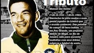 Tributo a Mané Garrincha  Balada Nº 7  Moacyr Franco [upl. by Phelips345]