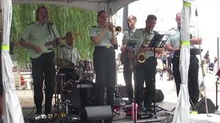 Redpath Waterfront Festival ft Band of the Horses Guards [upl. by Jacobs298]