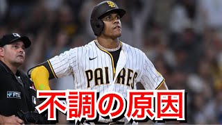 【MLB】フアン・ソトの不調について考えよう。 [upl. by Enyrat408]