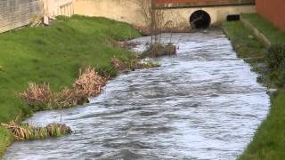 Channelised and restored sections of Lukely Brook Newport Isle of Wight [upl. by Keldon]