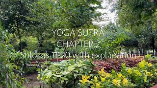 Yoga Sutra  211 to 220  Removing the Kleshas amp Understanding the Seer and Seen Just Sudha Gyan [upl. by Gabriele903]