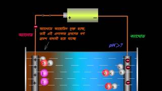 Electrolysis of Aq Potassium Iodide Soln  BENGALI Version [upl. by Ahseinet841]