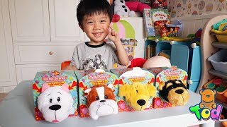 玩具 會變身的可愛狗狗！奇趣汪星人開箱！FlipaZoo Puppy Toy Unboxing Play  小陶德沛莉 [upl. by Ttimme]