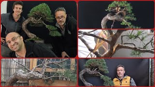 Ho voluto insegnare il bonsai ad un mio allievo in un modo particolare [upl. by Oinigih]