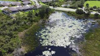 SE Deland drone Video taken July 26 2021 after dormant wetland hydrology returns [upl. by Sillaw249]