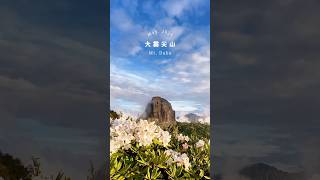 大霸尖山高山杜鵑 ｜Mt Dabajian 百岳 travel hiking 大霸尖山 [upl. by Acirat]