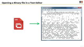 008 Challenges with Binary Files  Learn the ABC of Malware Analysis [upl. by Snow455]