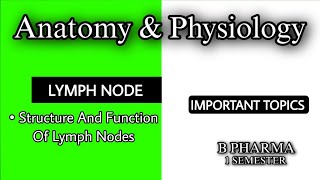 LYMPH NODE  LYMPHATIC SYSTEM  IMPORTANT QUESTIONS  UNIT 3  ANATOMY AND PHYSIOLOGY  B PHARMA [upl. by Phil]