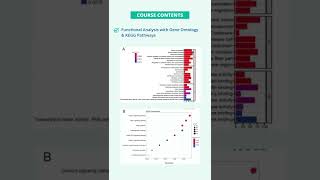 Hands on RNASeq Analysis With Galaxy [upl. by Gerlac]