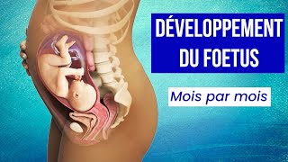 LA GROSSESSE  Le Développement du Foetus Mois par Mois [upl. by Normak]