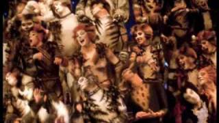 Cats the Musical Jellicle Songs [upl. by Nosreve]