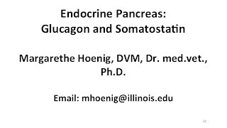 Endocrine Pancreas Glucagon and Somatostatin [upl. by Etheline]