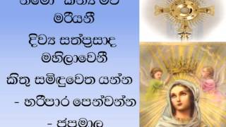 Pray to Mother Mary with this Hymn [upl. by Sholes]