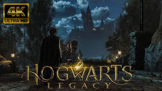 Hogwarts Legacy  Exploring the Magical Shops of Hogsmeade 4k60fps [upl. by Eade561]