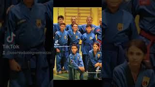 VOVINAM VIET VO DAO VERMEZZO CON ZELO MILANO 🇮🇹 [upl. by Whorton676]