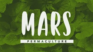 Que faire dans son jardin permaculture en mars permaculture [upl. by Otiragram]