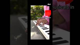 Piano Folding piano 88 keys  carry anywhere  TAAL MUSICALS [upl. by Anerom529]