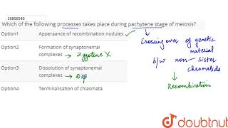 Which of the following processes takes place during pachytene stage of meiosis [upl. by Schiff]