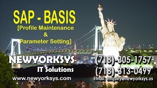 SAP BASIS Online Training  Profile Maintenance and Parameter Settings Tutorial [upl. by Meta583]