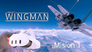 Proyecto Wingman Mision Bandera Negra VR [upl. by Eiryk]