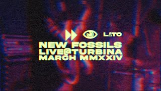 NEW FOSSILS  LATO  LIVE  TURBINA [upl. by Service]