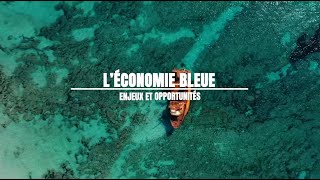 Léconomie bleue en Tunisie  Enjeux et opportunités [upl. by Delmor583]