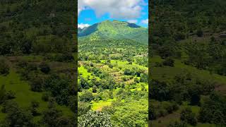 Kokan ki sunder camreji nazer se sunderkokan nature [upl. by Fedirko275]