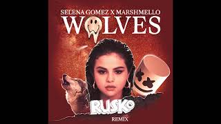 Selena Gomez amp Marshmello  Wolves RUSKO REMIX [upl. by Averat325]