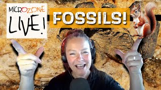 Fossil and Deathplate MICROZONE Friday Night LIVE [upl. by Heloise]