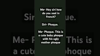 Phoque memes funny comedy animationmeme idontknowwhattoputher [upl. by Wyon570]