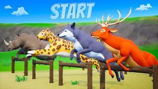 Animals Running Race Competition  Red Deer Cheetah Fox Zebra Funny Animals Videos for Kids [upl. by Kera]