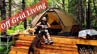 Off Grid Living And Van Life Camping [upl. by Augustus]