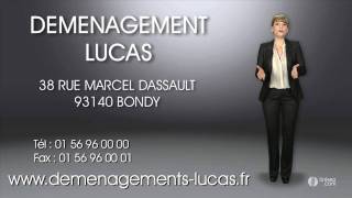 DEMENAGEMENTS LUCAS  déménageurs 93 [upl. by Nerb874]