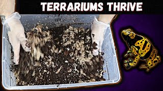 How To Make Bioactive Terrarium Substrate [upl. by Ycnay]