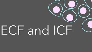 3 Intro to fluid compartments ECF and ICF [upl. by Asilehc]