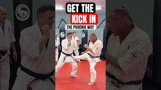 Kyokushin Karate Training The Phoenix Way dojo karate training short shortsfeed shortvideo [upl. by Garfinkel]