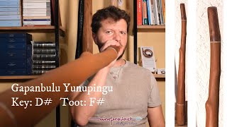 Gapanbulu Yunupingu Traditional Yidaki Didgeridoo in D [upl. by Jangro]