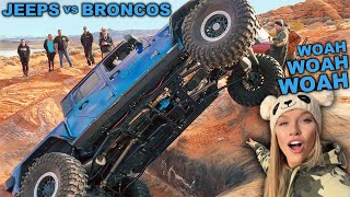 FORD BRONCOS vs JEEP WRANGLERS vs JEEP GLADIATORS Off Road [upl. by Johnette474]