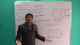 Plasmolysis Transport in plants cnu [upl. by Lletnohs]