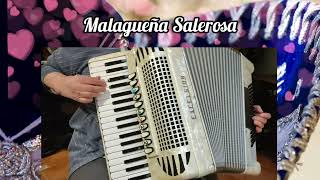 Malagueña Salerosa canción mexicana música de acordeón accordion cover version [upl. by Ebneter633]