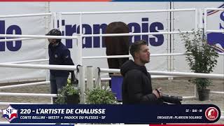 LARTISTE DE CHALUSSE  Championnat 2 ans  France Etalons [upl. by Lathe]