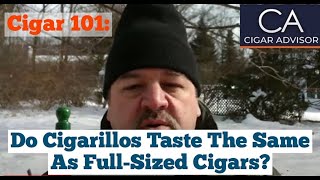 Do cigarillos taste the same as full size premium cigars  Cigar 101 [upl. by Adnamor]