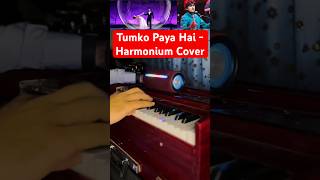 Tumko Paya Hai Toh Jaise Khoya Hoon Harmonium Cover Sonu Nigam Shreya Ghoshal Harmonium Cover [upl. by Nylirehc920]