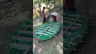 Crafting a DIY Water Bottle Boat  Will it Survive short reel viral trending youtubeshort diy [upl. by Wandy]