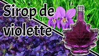 Comment faire du sirop de violette [upl. by Jahdol603]