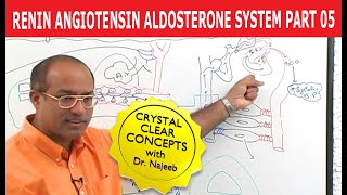 Renin Angiotensin Aldosterone System  RAAS Part 5👨‍⚕️ [upl. by Rozamond151]