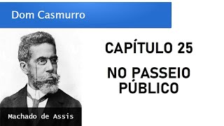 Dom Casmurro  Capítulo 25 No Passeio Público [upl. by Suiraj813]