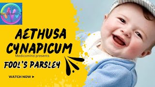 Do you know Aethusa cynapium for babies [upl. by Aitnyc121]